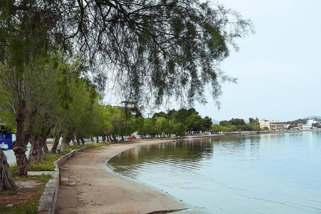 Πολυτελές Διαμέρισμα 3 Χαλκίδα-Παραλία Αυλίδος Paralia Avlidhos 外观 照片